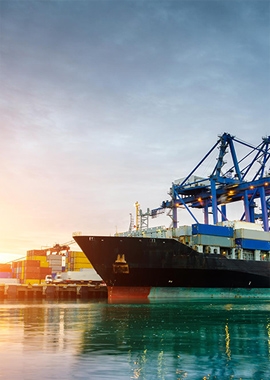 Cảng Baltimore ngừng tiếp nhận container xuất khẩu